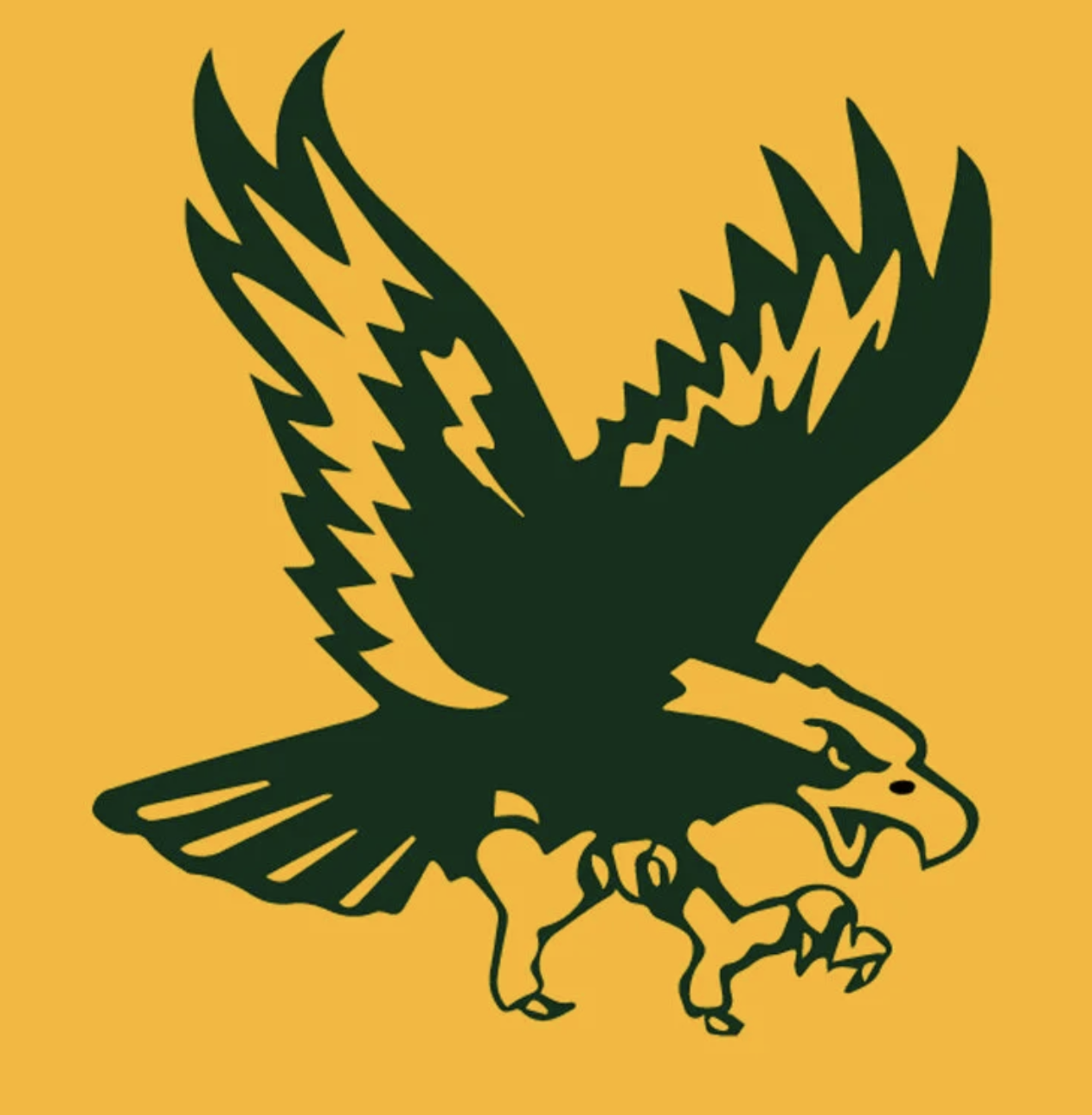 Golden Eagles Basketball Camp