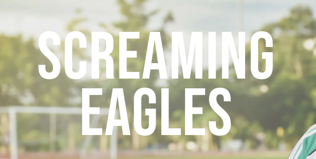 Screaming Eagles – Port Allegany Soccer Camp